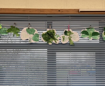 Shamrock Display